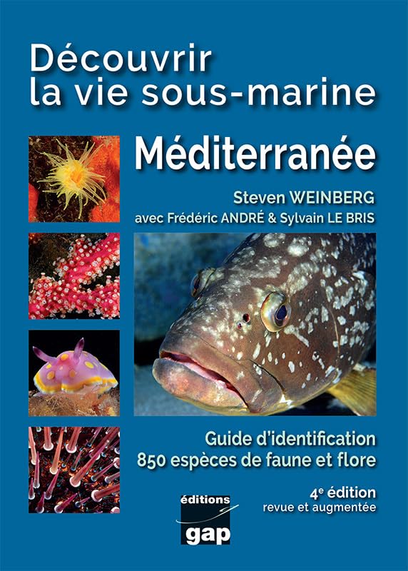 DECOUVRIR LA VIE SOUS MARINE EN MEDITERRANEE