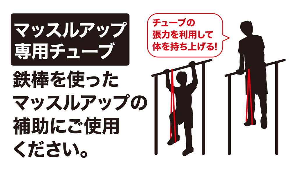 Amazon.co.jp: 秦運動具工業 THE TUBE トレーニングチューブ