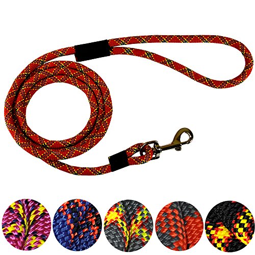 Downtown Pet Supply DTPS, Durable Dog Rope Leash, 6â€™ feet, Red, Mountain Climbing Rope Leash