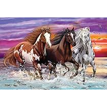 Schmidt Spiele Wildes 56356 – Puzzle per bambini, 200 pezzi, multicolore