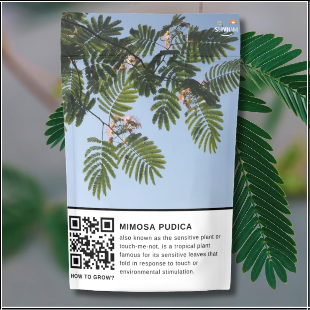 See full amazon price history chart for Sensitive Plant Seeds for Gardening - Mimosa pudica, Shy Plant, Shameful Plant, Touch-me-not, Lajwanti, Chhui Mui, sensitive plant, shameplant - Easy To Grow - Herbs Sensitive Plant Seeds for Gardening - Mimosa pudica, Shy Plant, Shameful Plant, Touch-me-not, Lajwanti, Chhui Mui, sensitive plant, shameplant - Easy To Grow - Herbs (B0BKWMXPPR) Amazon Price History, Amazon Price Tracker