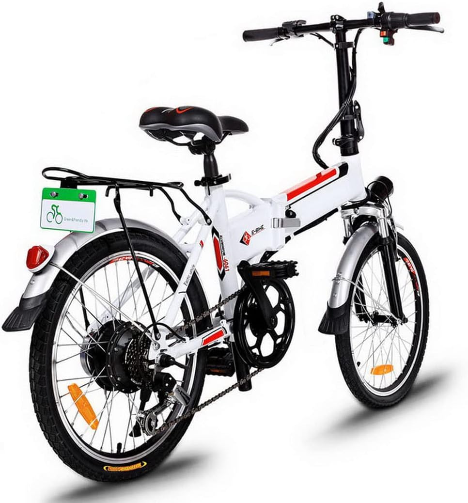 Fat Bike Elettrica 20\