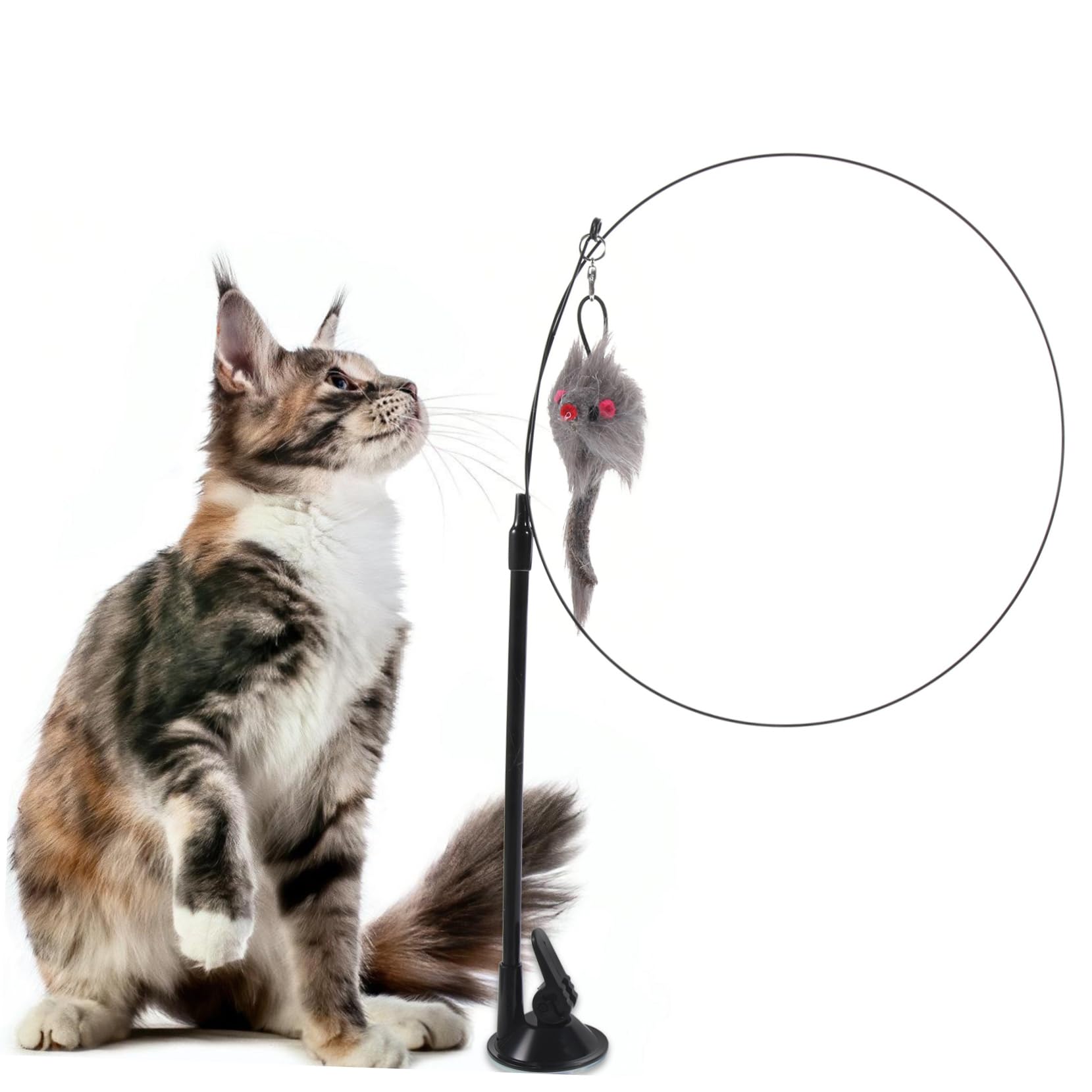 Sosoport Jouets Interactifs pour Chats Jouets pour Chatons De Interactif Ventouse pour D'Aspiration De De De avec Ventouse