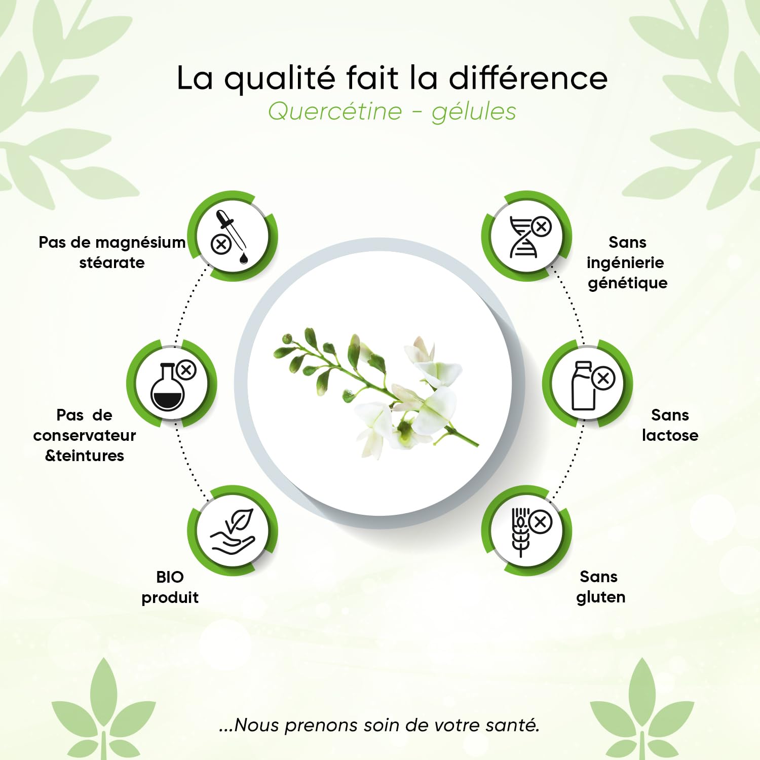 Quercétine – 500 mg – 180 gélules – 6 mois – Avec boîte à pilules – Vegan – Extrait de fleur de Sophora du Japon 95% - Sans additifs