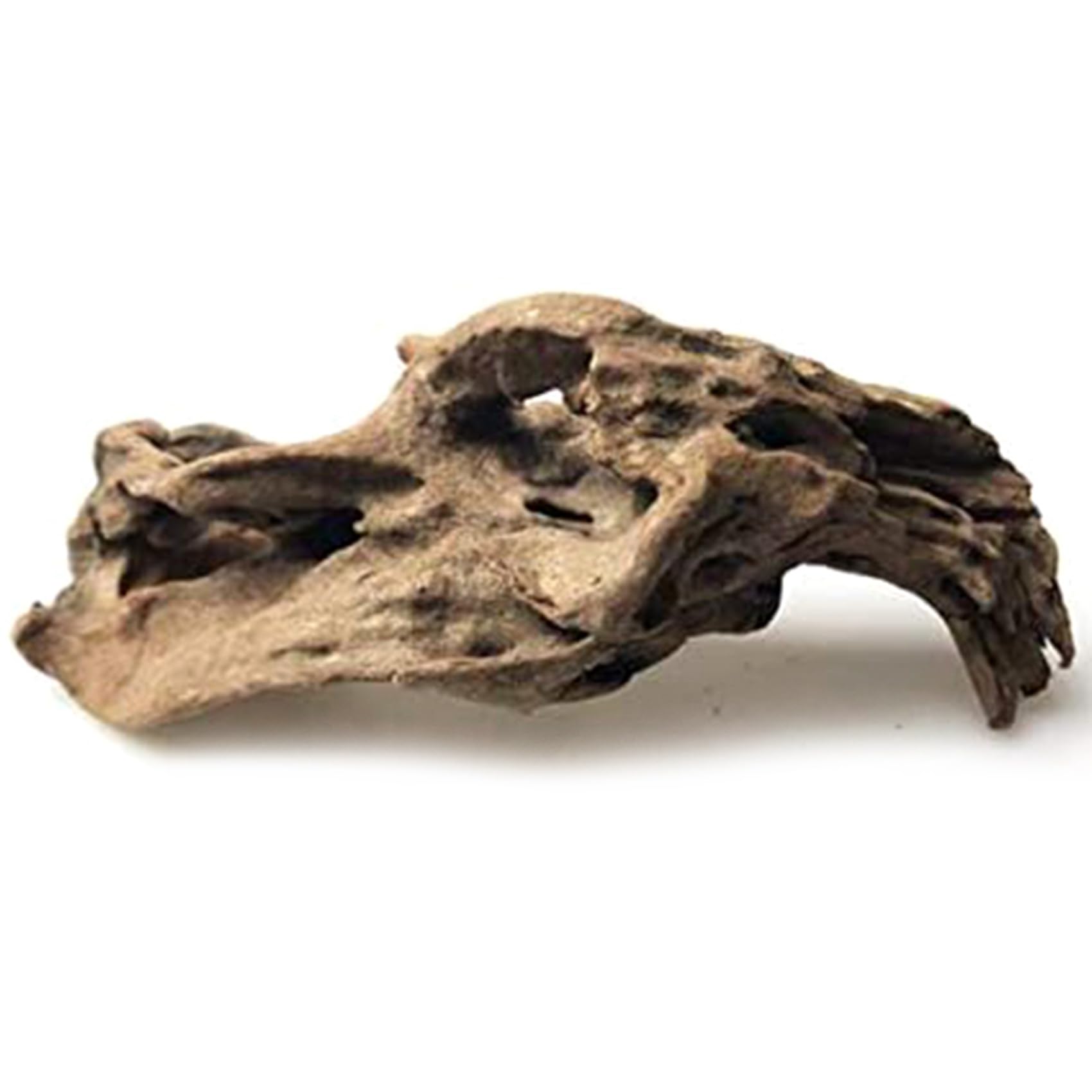 24X Grandes Ramas Naturales de Madera Flotante Reptiles Acuario Decoración del Tanque de Peces Cueva Escondite Decoración de Madera Madera de Deriva