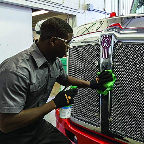 Walter 53G187 FT 100 Stainless Steel and Glass Surface Cleaner, 5.2 Gallon