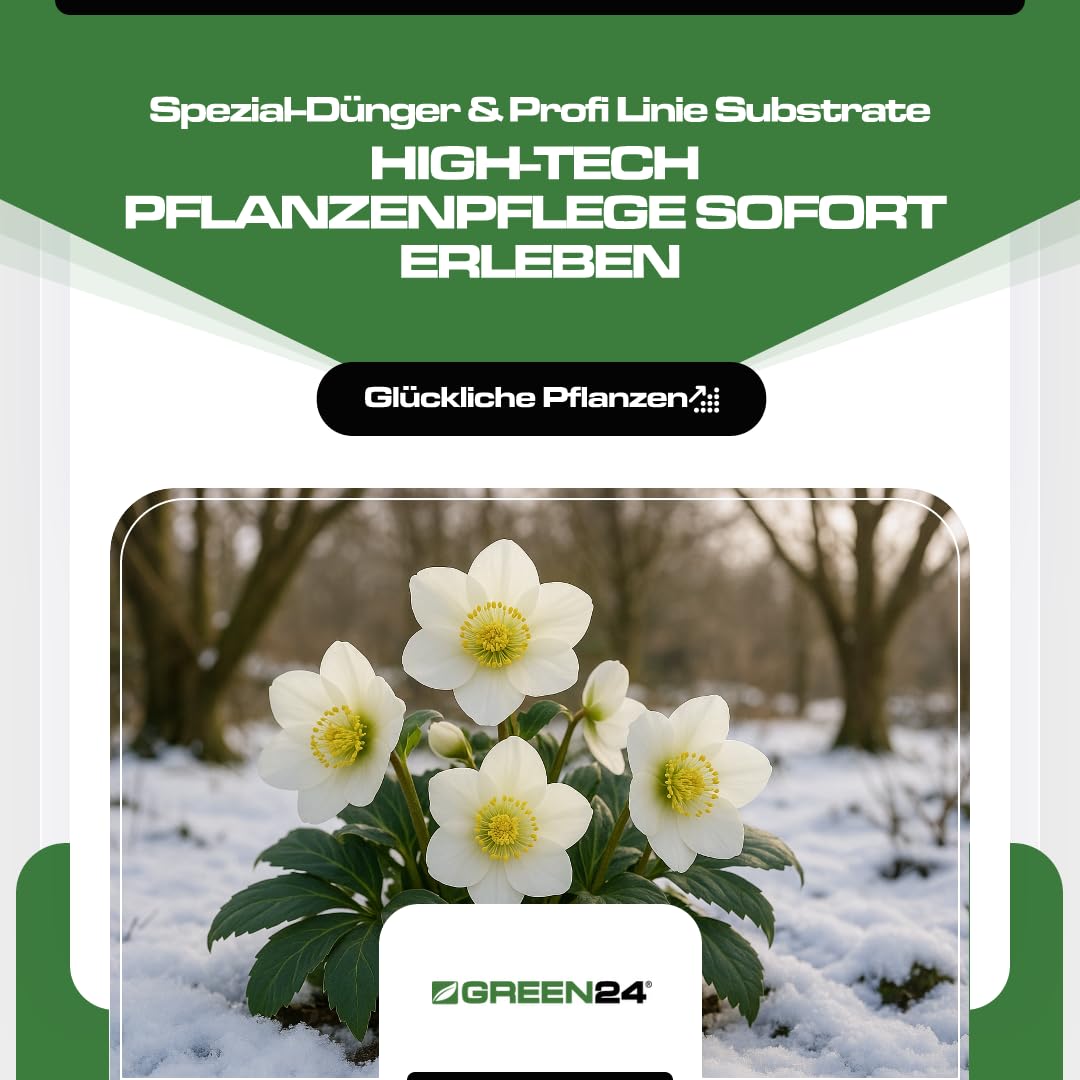 hesi dnger dosierung Bio Hesi Grow & Bloom Set - je 500ml
