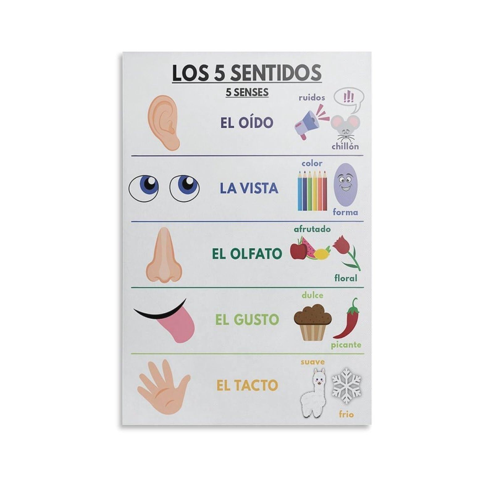 KCDFDVJFBM Spanish Five Senses Poster Los Cinco Sentidos Educational Canvas Wall-Art for Preschool Classroom Decor(Framed,08x12inch(20x30cm))