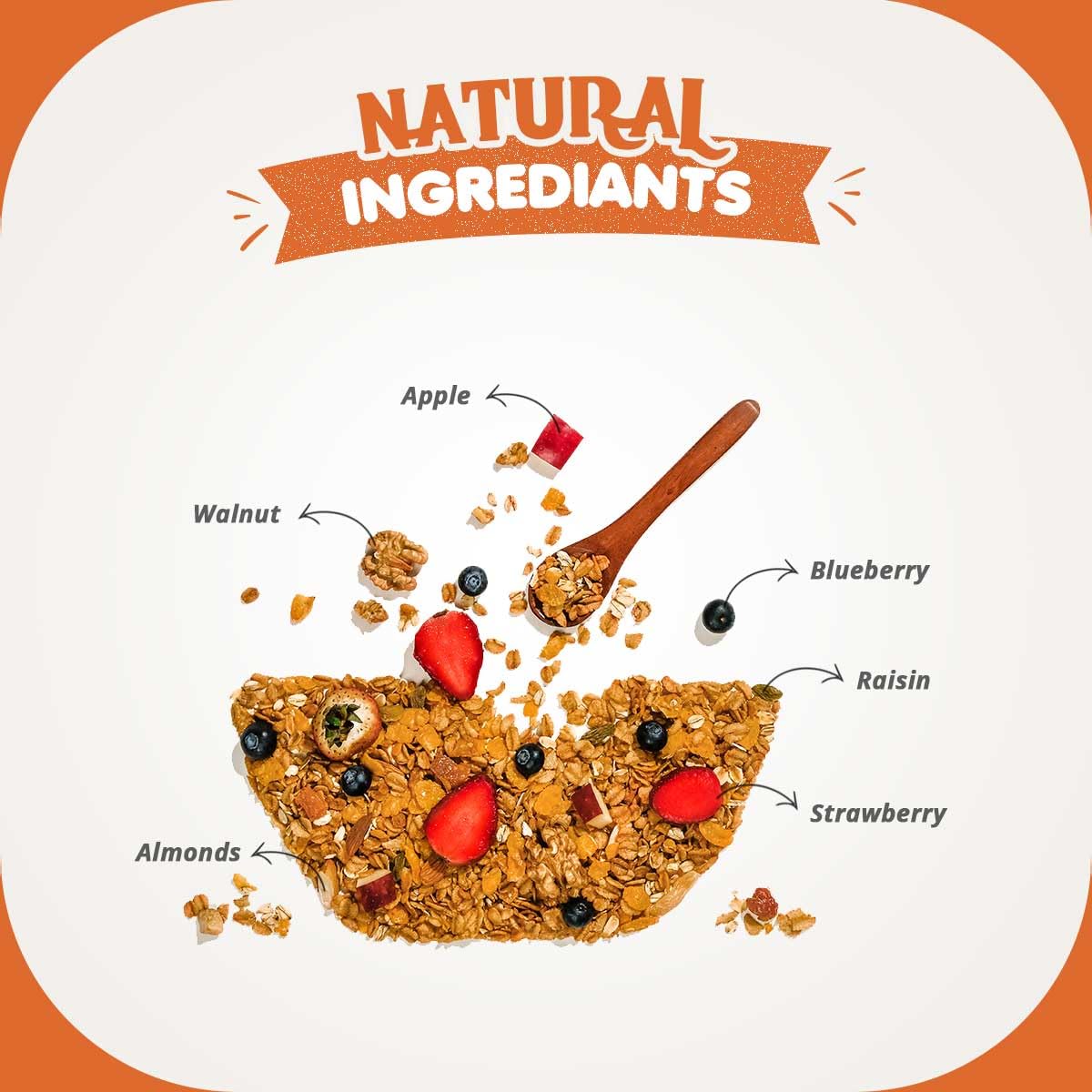 Gaia Crunchy Muesli Fruit and Nut Packed with Fibre, Iron and antioxidants. 1KG