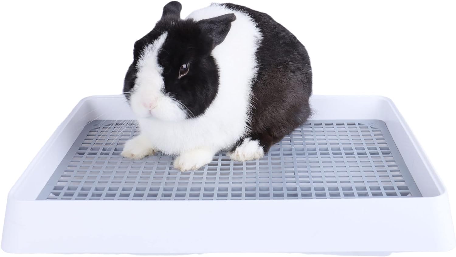 Große Katzentoilette für Käfig, Kaninchenklo, Rost, Toilette mit 10 Stück, rechteckig, Meerschweinchen, Katzentoilette, Katzentoilette für Ratten, Frettchen, Hamster