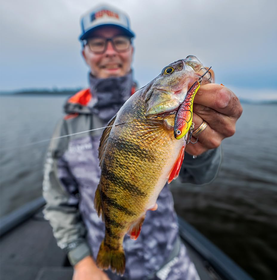 best perch lure for ice fishing Rapala Slab Rap Jigging Spoon, Jig, Walleye and Trout Fishing Lure, Flutter Action, 2-1/2