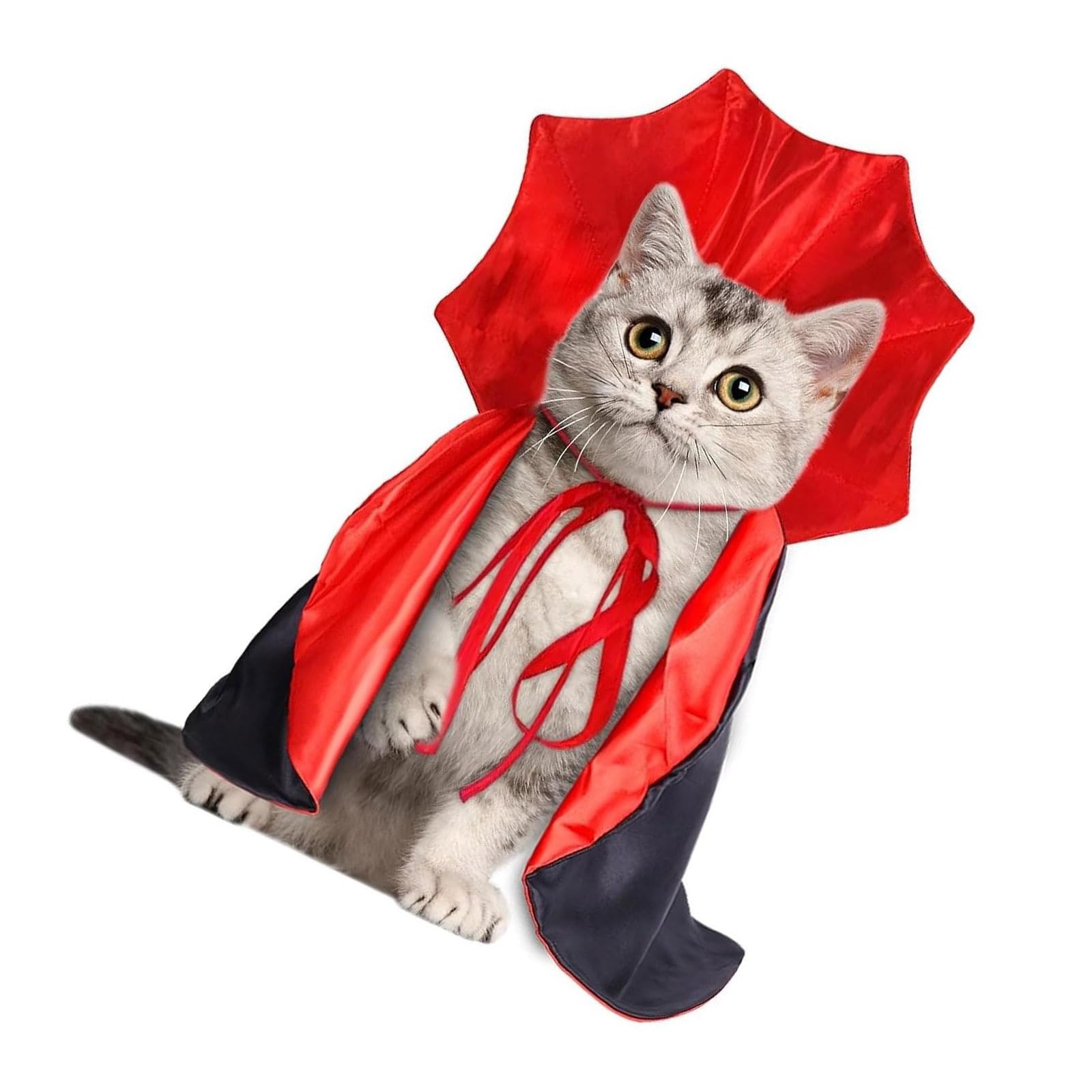 Amazon | ハロウィン仮装 ペット用 コスプレ マント 犬 猫