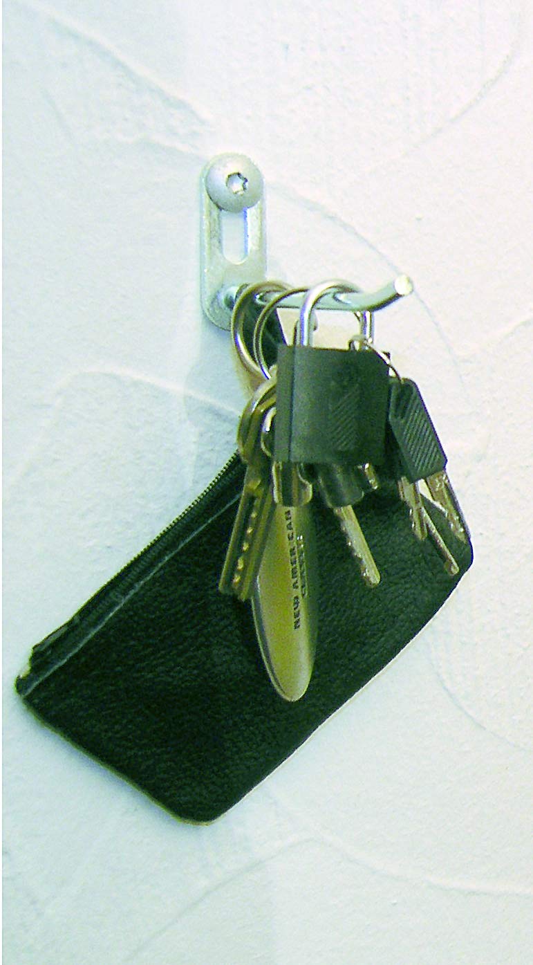 Alberts 805623 Gancio con piastra forata, dritto, zincato blu, profondità gancio 80 mm, tondino d’acciaio Ø4 mm, Set da 25
