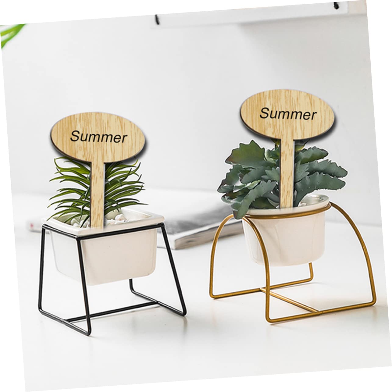 Kisangel 150pièces Étiquettes De Plantes Marqueurs Pour Fleurs Accessoires Pratiques Pour Jardinage Et Décoration De Plantes