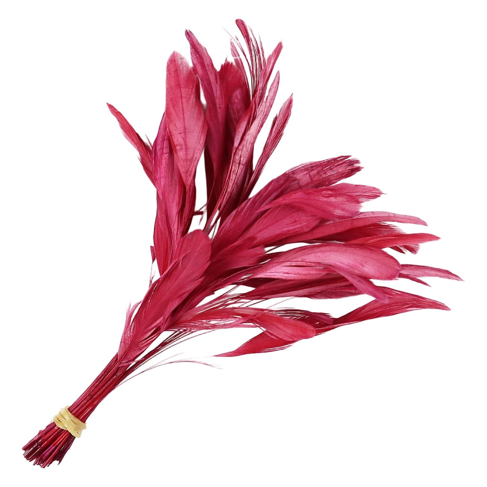 NMFLAB 50Pcs Colorful Craft Quills 4-6Inch Natural Craft Quills for Costume Making Home Decoration and Sewing Embellishment