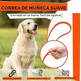 Ver la foto 2