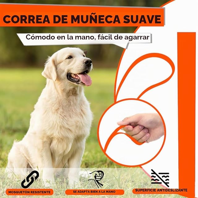 Foto 2 de 7 de Loutep Correa de Biothane para Perros Correa de Arrastre para Perros Correa Larga de 3 m 5 m Correa…