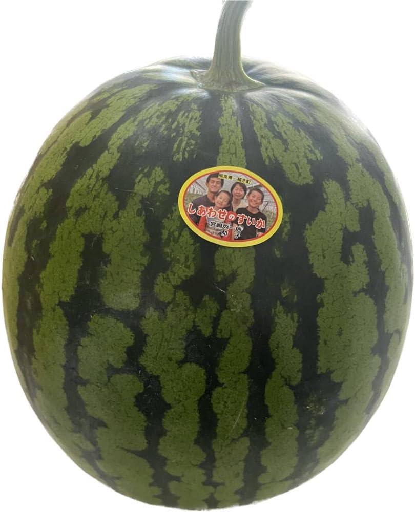 スイカ✣ℝさま♡ Amazon.co.jp: 宮崎さんの 羅皇・ザ・スウィート 1玉入り（7kg以上