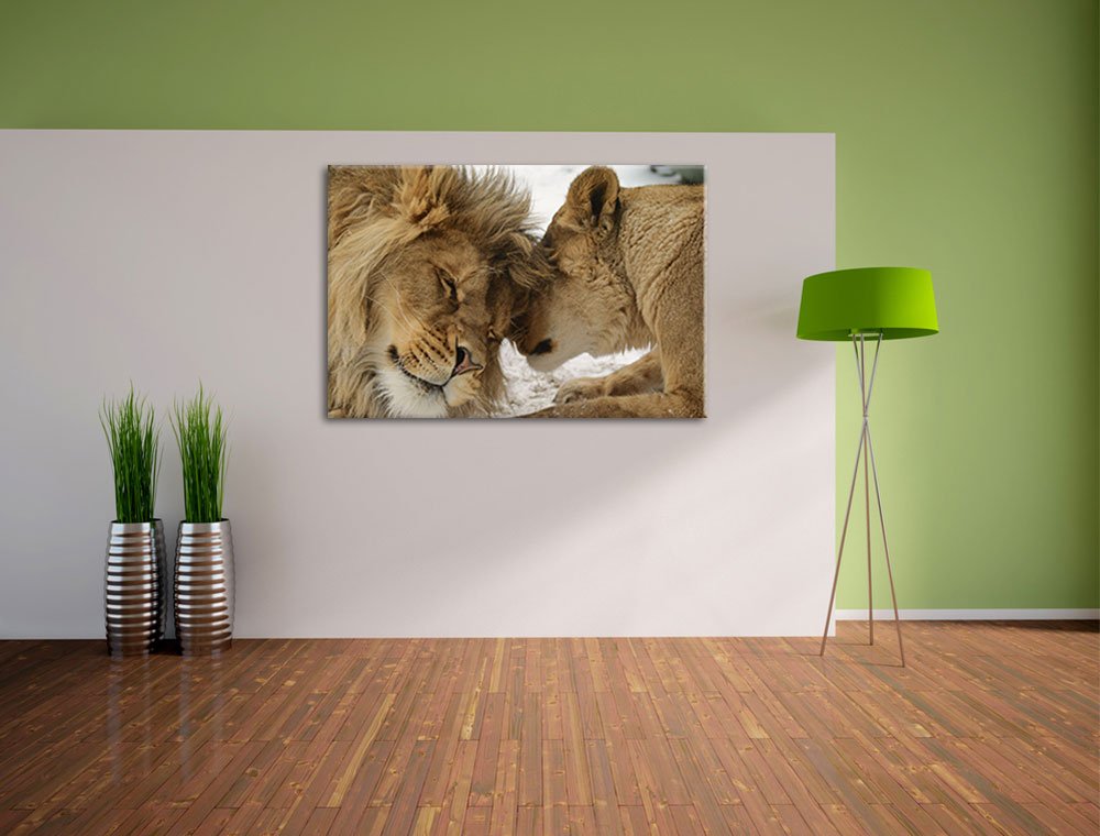 Pixxprint Kuschelnde Löwen, Größe: 120x80cm, Leinwandbild, fertig gespannt, Wandbild, Dekoration, Kunstdruck, kein Poster