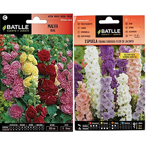 SEMILLAS BATLLE, Malva REAL VARIADA & Espuela - ENANA - flor de jacinto