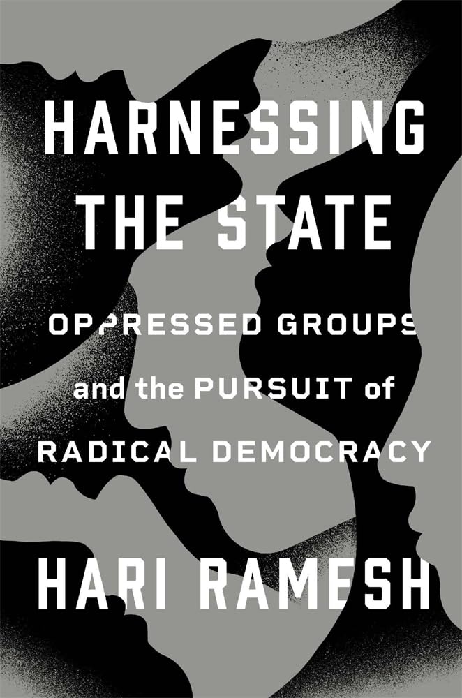 Harnessing the State: Oppressed Groups and the Pursuit of Radical Democracy