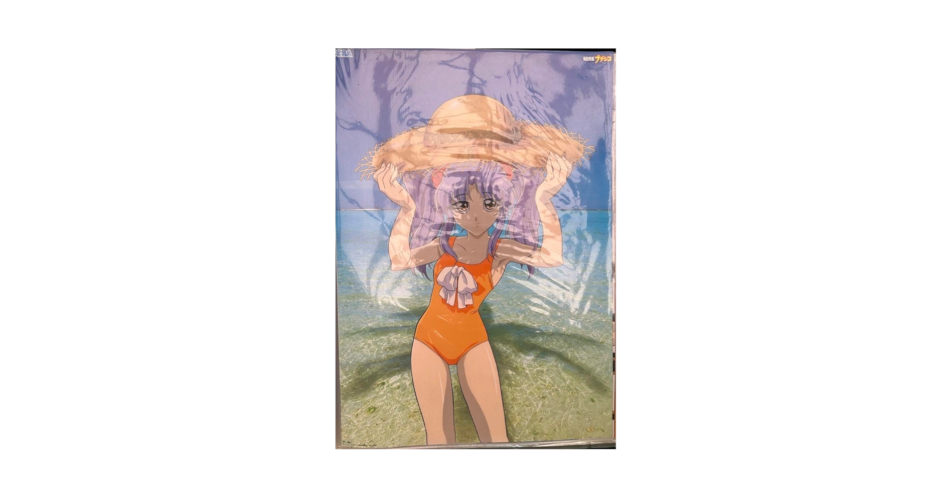 機動戦艦ナデシコ　ホシノルリ　B2ポスター 機動戦艦ナデシコ ホシノルリ B2ポスター - メルカリ