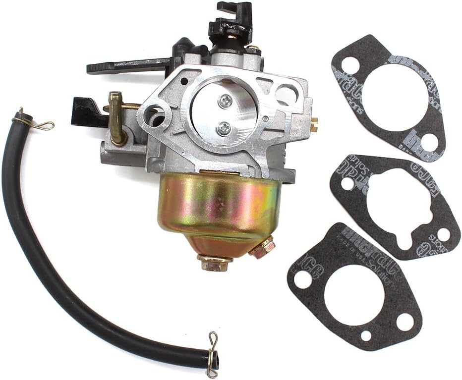 Carburatore Per Spazzaneve Holzinger HSF-110 (HSF - Foto 7