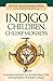 Produktbild Indigo Children & Cheeky Monkeys: Understanding & Celebrating the Uniqueness of Every Child