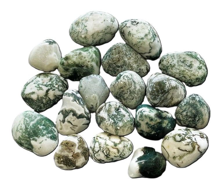 Agate Arbre Roulée de 2 à 3 CM, Pierre Naturelle de Lithothérapie, 1 Unité