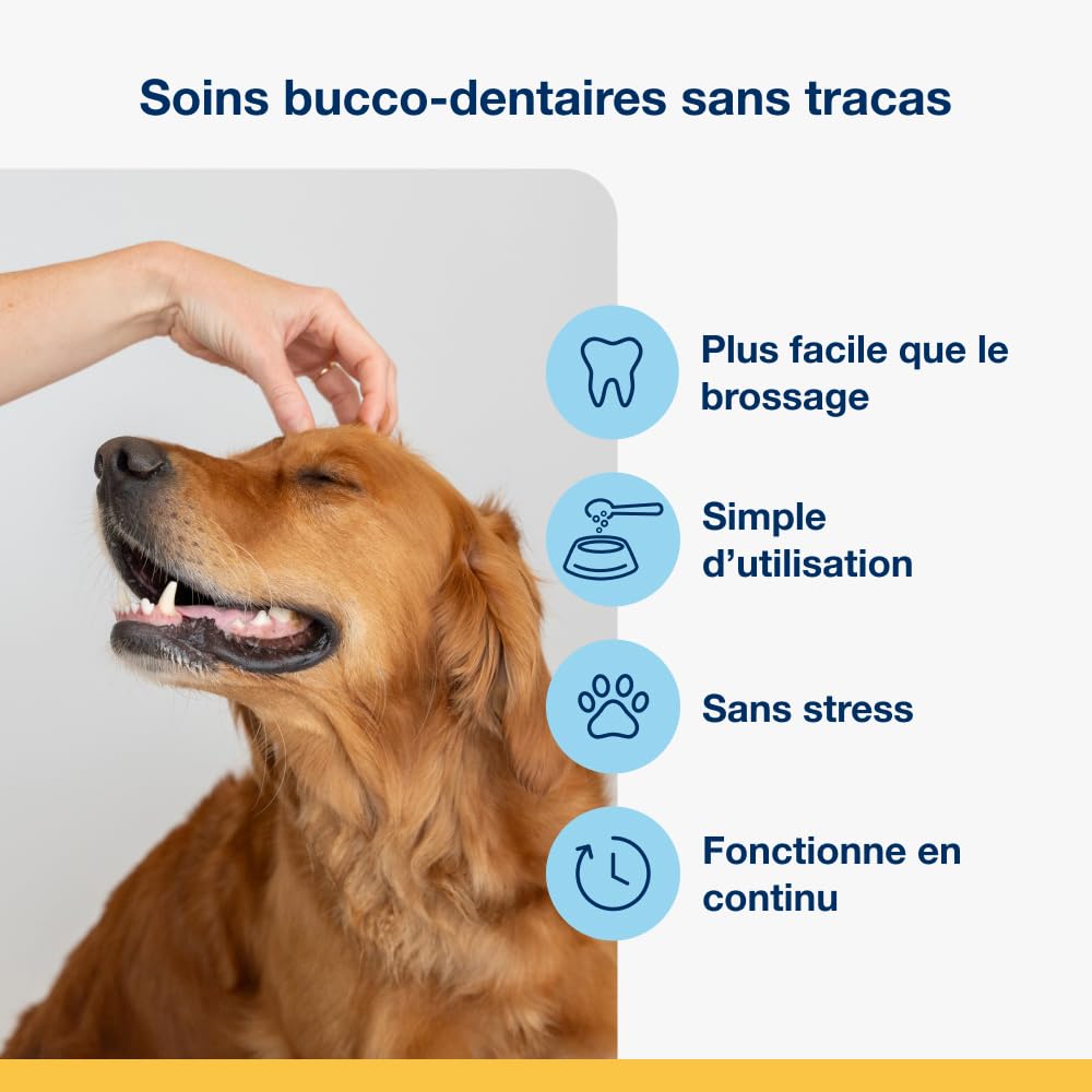 ProDen PlaqueOff Lot Dentaire Chien Poudre 60g et 13 Os à Mâcher au Poulet
