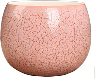 ANACRO Bonsai Pots Succulent Flower Pot Green Plant Art Bonsai Home Balcony Gardening (Color : B1)