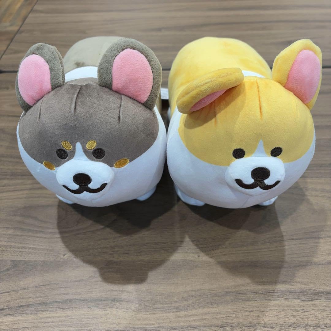 新品・タグ付いち 【新品・未開封品】いちにの コーギー おめかし タグ