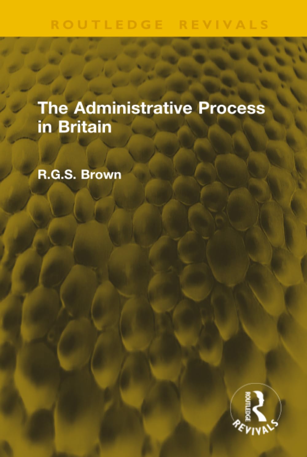 The Administrative Process in Britain (Routledge Revivals)