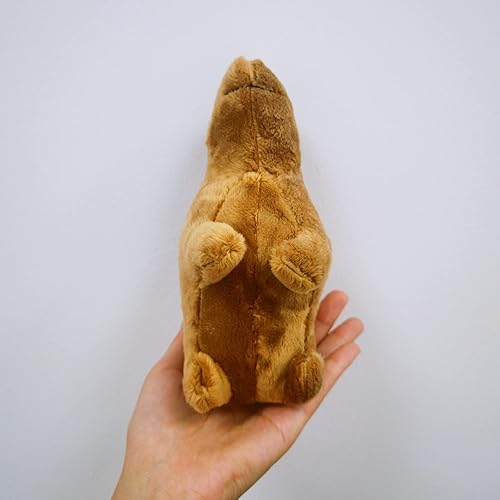 Miniatura 5 de Capybara - Peluche de animal de peluche, peluche Capybara, regalos de Capybara (7.5 pulgadas)
