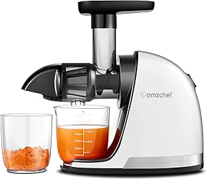 AMZCHEF Blender for Vegetables and Fruits – Cold Press Blender with Reverse Function – Cold Press Slow Juicer Machine 3 in 1 – Juice and Vegetable Extractor -2 Cups Included – White