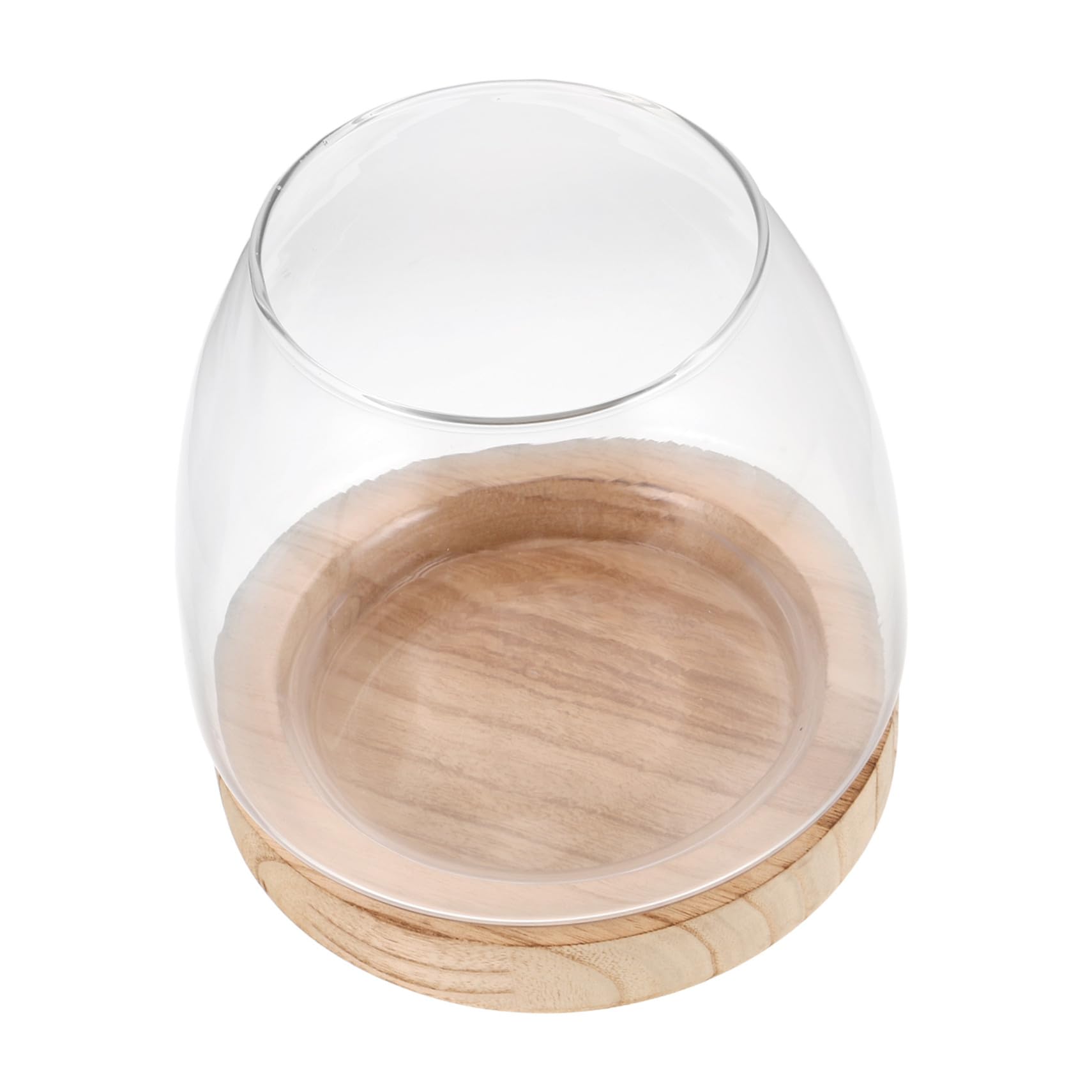 Vase Hydroponique Verre avec Base Station de Propagation Claire pour Plantes Intérieur Terrarium Décoratif pour Bureau et Maison Aquarium Végétal pour Micro-Paysage