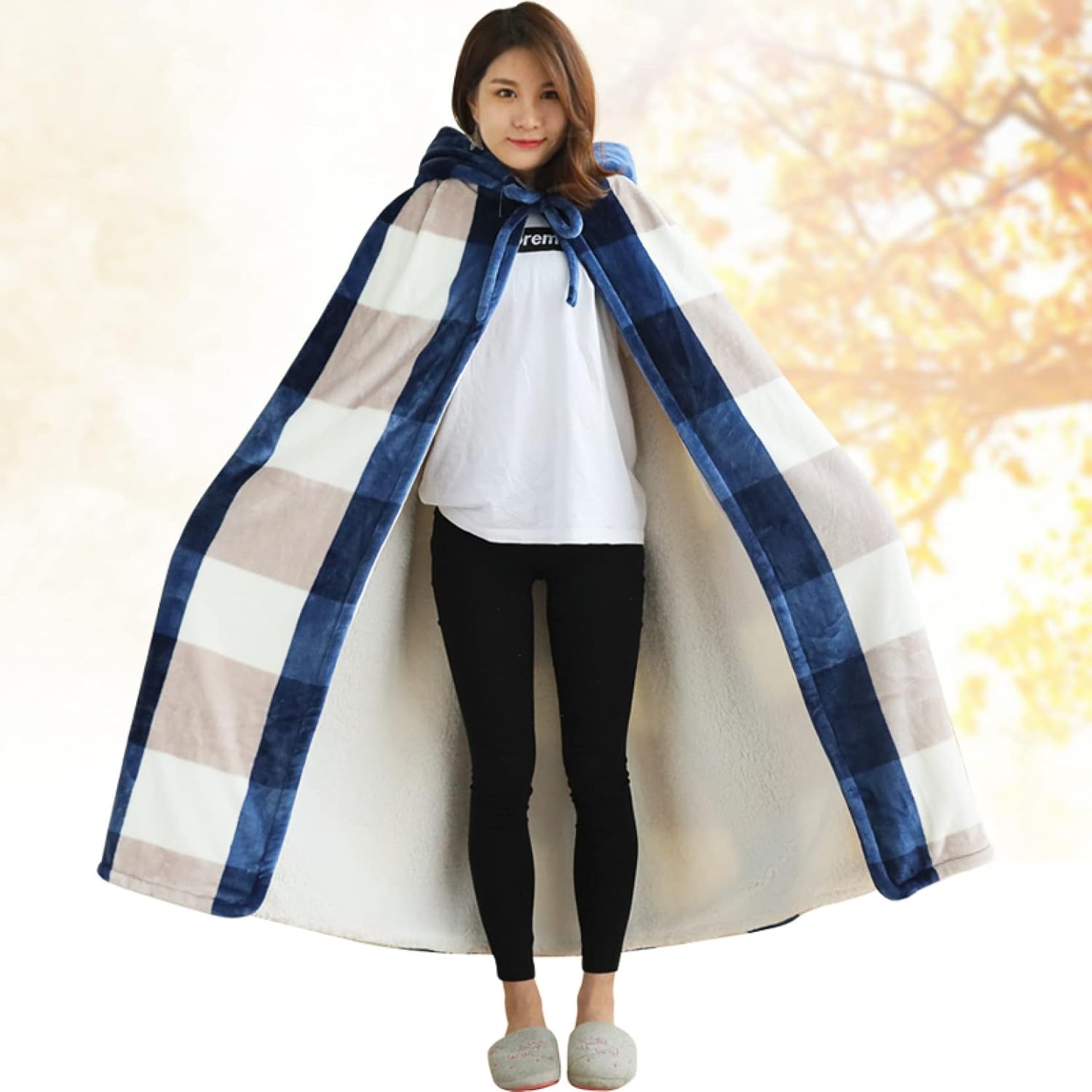 オーストラリア 2016年 北斗七星 記念硬貨 5ドル 認証書付き