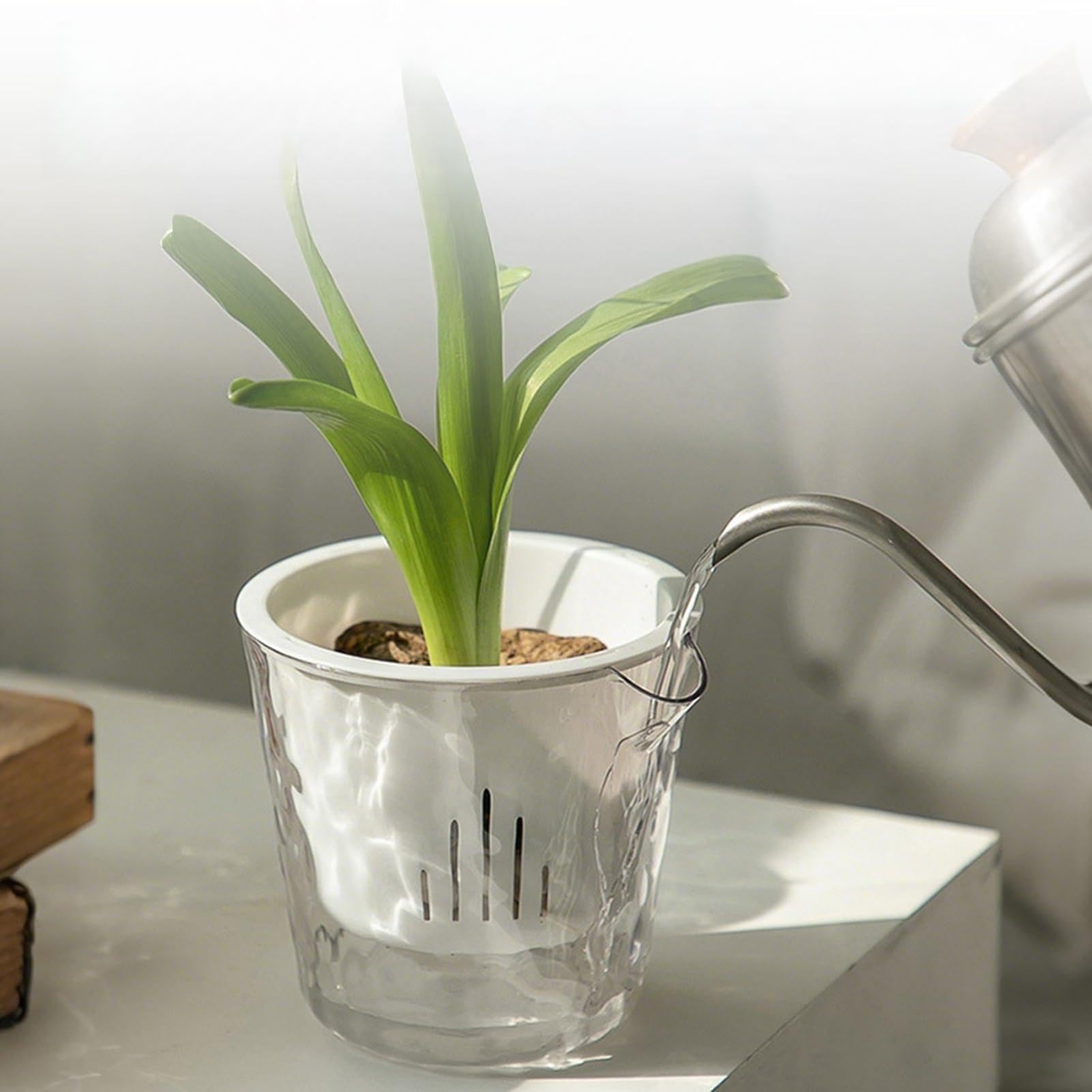 Flowerpot PET transparent auto-arrosage glacier à double couche pour plante