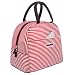 BALORAY Lunch Bag Tote Bag Lunch Organizer Lunch Holder Lunch Container (red stripes)