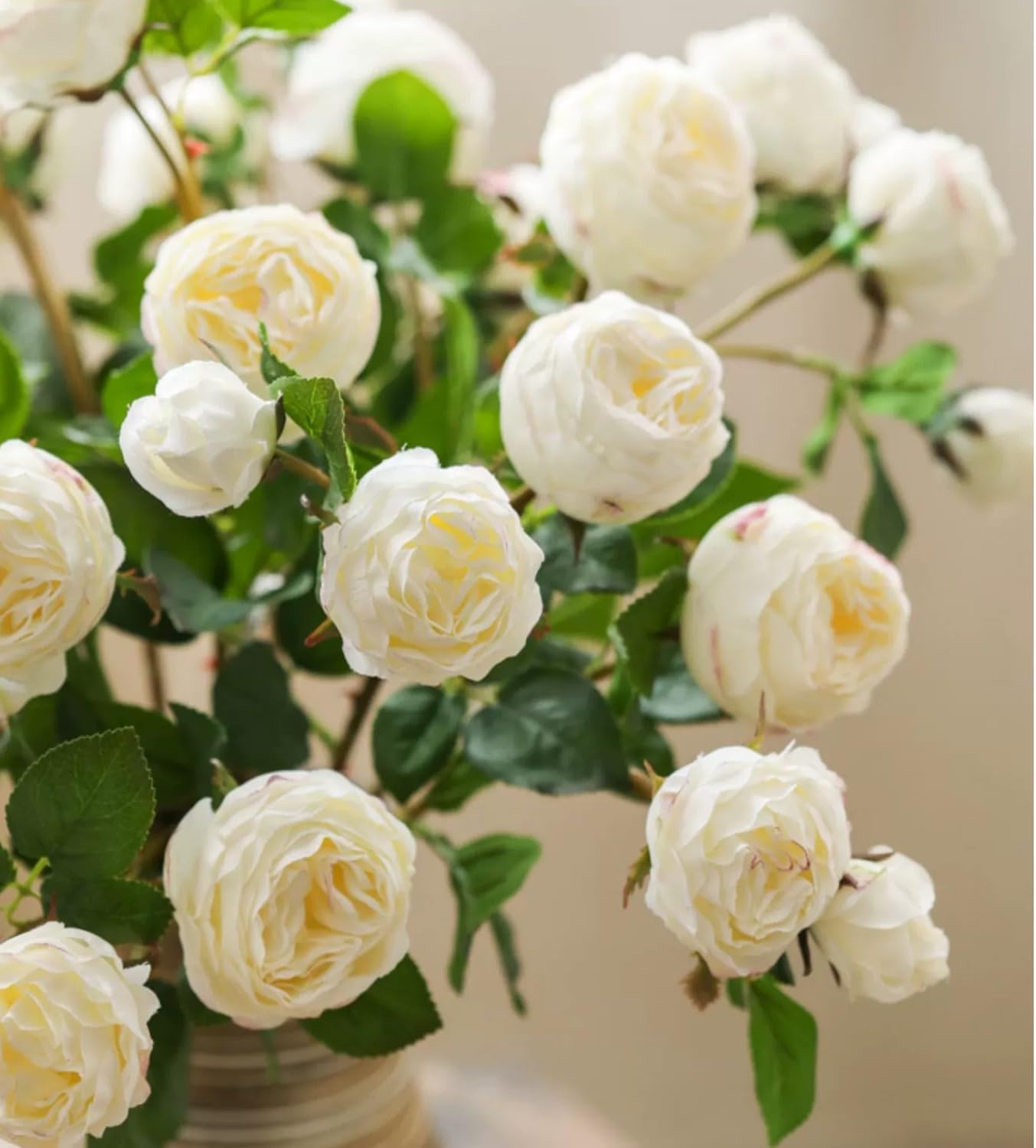 Rustic Reach White Cabbage Rose Stem 20.8" Tall Five Stems