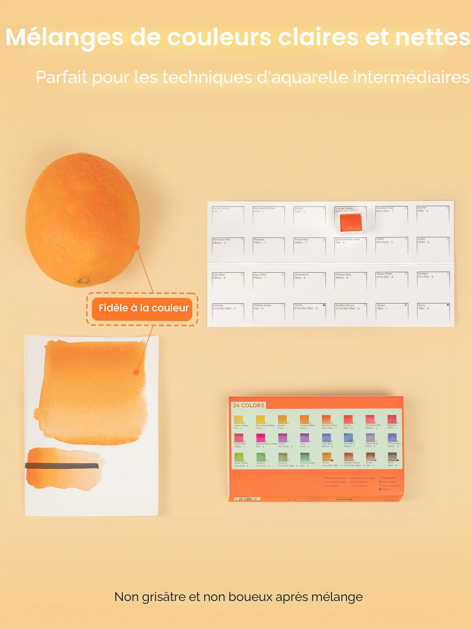 Woomer Aquarelle 24 couleurs couleurs vives haute pigmentation