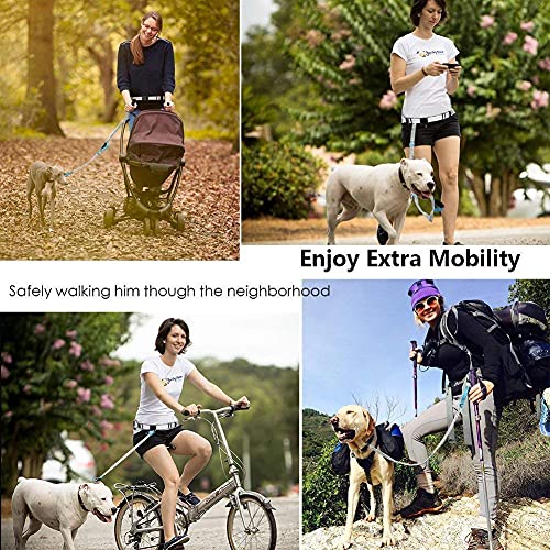 YOUTHINK Hands Free Dog Leash, with Training Treat Pouch, Reflective Shock Bungee Endure Up to 150 lbs, Comfort & Safe Dual Handle Waist Belt Collapsible Water (Waist Dog Leash)