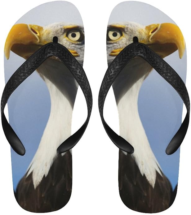 American eagle flip flops amazon Clearance