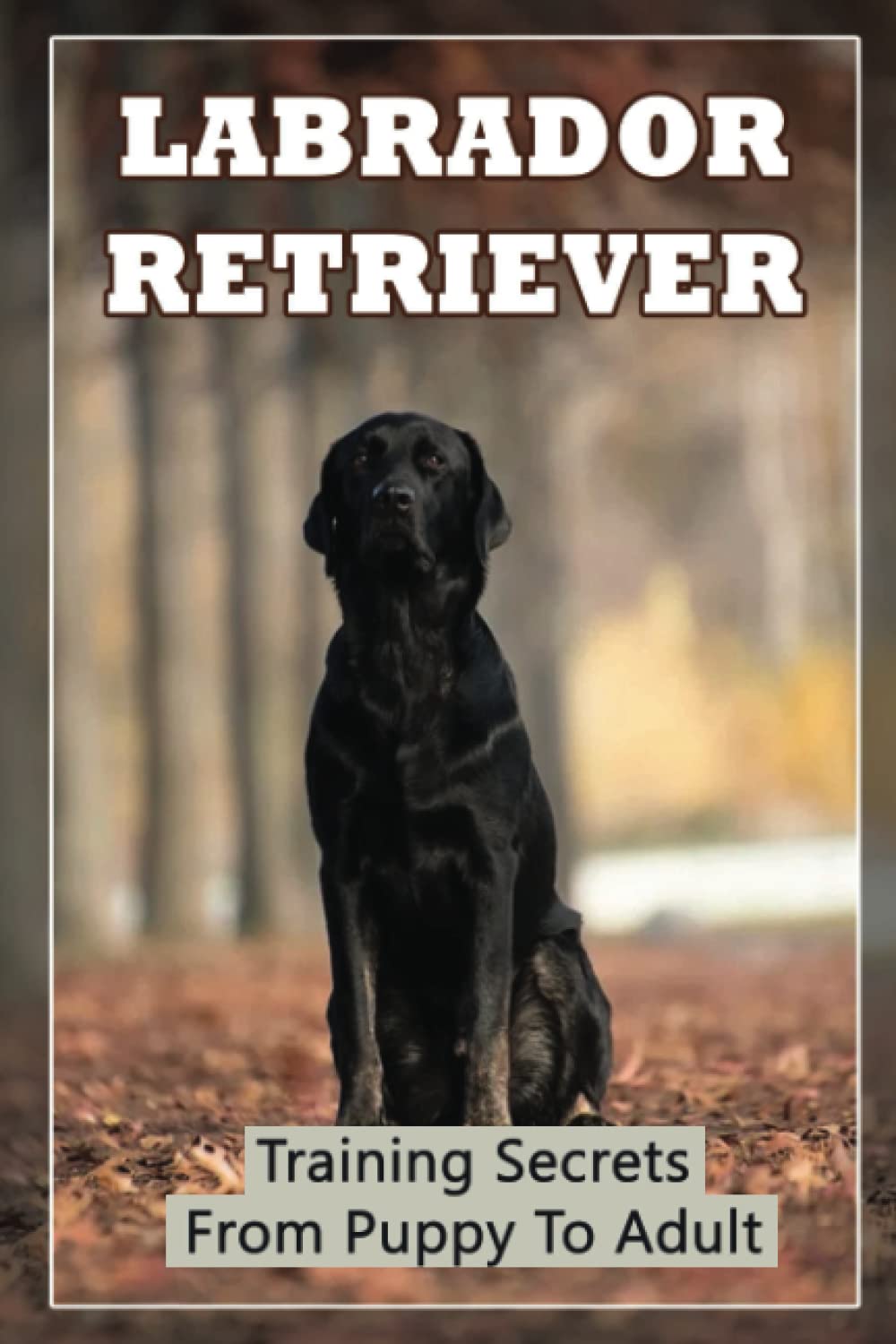 Labrador Retriever: Training Secrets From Puppy To Adult