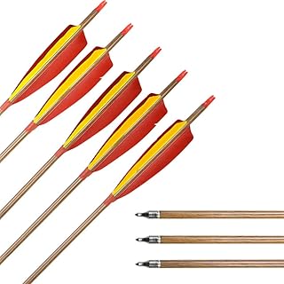 ZSHJG Archery 30 Inch Carbon Arrow Practice Hunting Arrows Spine 340 Turkey Feathers Removable Arrow Tips for Compound & Recurve Bow 6/12 Pieces (6 Pack)
