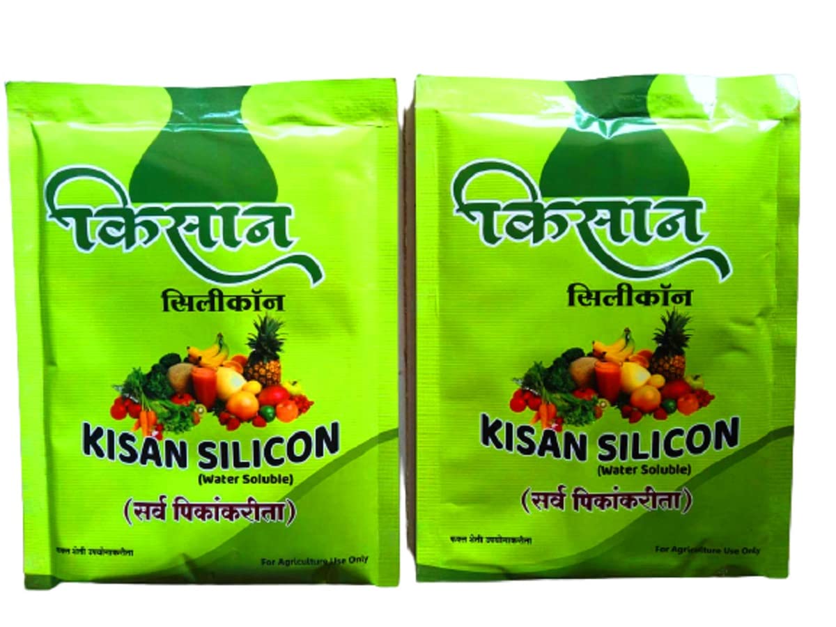 See full amazon price history chart for Silicon Fertilizer For All Plant (Pack of 2-250g) - 500gm | Fertilizer For Potted, Outdoor and Indoor Plant | Plant Growth Enhancer | Soil Conditioner | Improve Plant Root Systme and Soil Silicon Fertilizer For All Plant (Pack of 2-250g) - 500gm | Fertilizer For Potted, Outdoor and Indoor Plant | Plant Growth Enhancer | Soil Conditioner | Improve Plant Root Systme and Soil (B09ZS7KRLC) Amazon Price History, Amazon Price Tracker