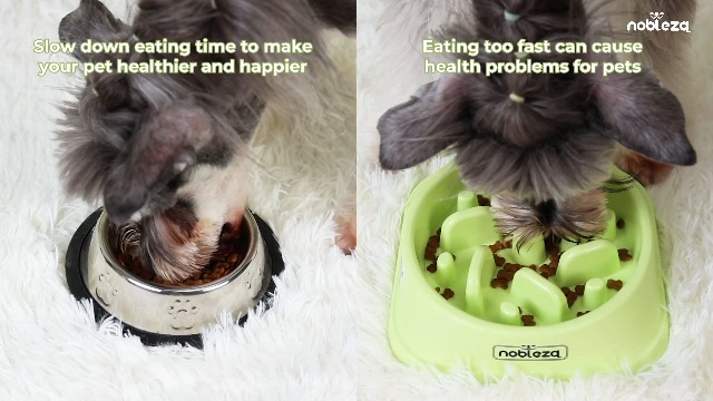 Ciotola Antingozzamento Per Cani - Slow Feeder Puzzle, Rosa, Anti-Scadivolamento, Materiale Sicuro - Foto 10