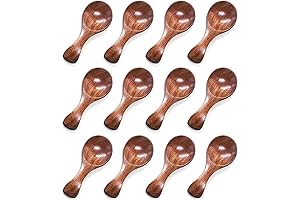 HANSGO Tiny Spoons for Spices, 10-Piece Ice Cream Salt Spoon Set