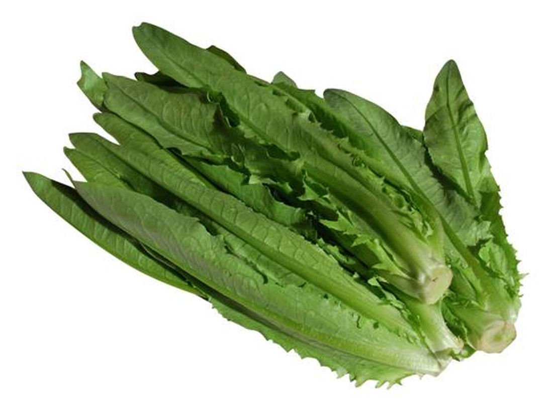 Amazon.com : Indian Leaf Lettuce-"You mai CAI" A Very Unique ...