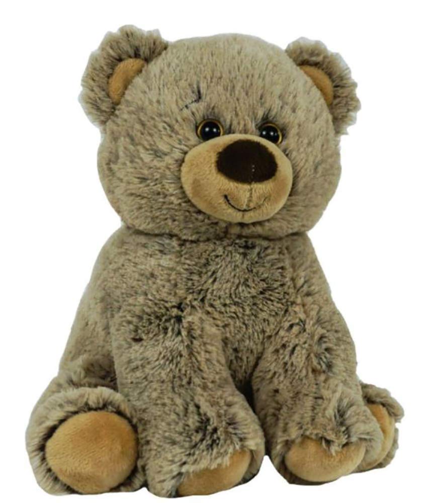 record your own message bear